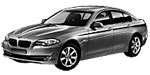 BMW F10 P3010 Fault Code